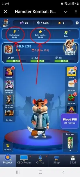 Hamster Kombat Morse today