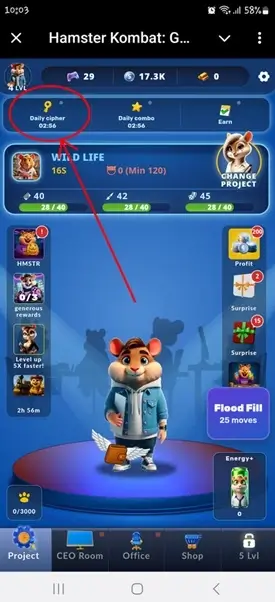 Hamster Kombat daily cipher