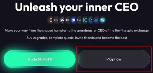 Hamster Kombat home