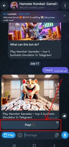 play hamster kombat daily